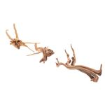 Totority 3 PCS Driftwood for Aquarium Decor Natural Spider Wood Branches for Fish Tank Decorations 4-7 inch