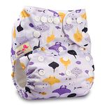 Littles & Bloomz, Reusable Pocket Cloth Nappy, Fastener: Popper, Set of 1, Pattern 79, Without Insert