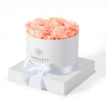 Graclect Preserved Roses in a Box for Delivery Prime,Forever Flowers,Immortal Roses Birthday Gifts for Her for Mom/Wife/Grandma - Champagne