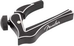 Fender Dragon Acoustic and Electric