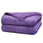 Alomidds Weighted Blanket (48"x72",20lbs Twin Size - Purple), Weighted Blankets for Adults, Cooling Breathable Soft and Comfort Minky, Heavy Blanket Microfiber Material with Glass Beads