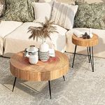 COZAYH 2-Piece Modern Farmhouse Liv