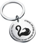 FAADBUK Keepe of The Lost Cities Inspired Gift Blac Swan Gift I Will Do Everything in My Power to Help My World, Small, Metal, stainless-steel