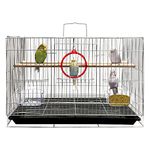 JAINSONS PET PRODUCTS Bird Iron Cage With Breeding Door Zinc Plated For Parakeet, Lovebird, Parrot, Budgie, Cage Hammock 18X12X13 Inch -Silver