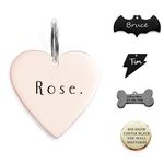 316 Surgical Grade Stainless Steel Cat Dog ID Tag for Sports Outdoor Collar Name Accessories Pet Nameplate Personalized Fun Shapes Heart Rose Gold Silver