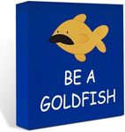 Funny Be A Goldfish Sign Decor Home Office Desk Bedroom Cubicle Shelf Decor Soccer Football Coach 5 X 5 Inch