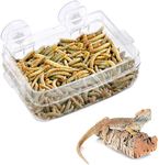 Reptile Feeder, Amphibians Reptiles