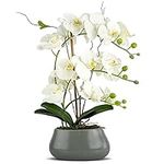 White Orchid Artificial Flowers wit