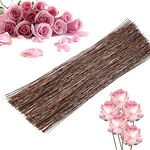 100 Counts Stem Wire Floral Paper Wrapped Wire, 14 Inch 22 Gauge Floral Wire Floral Stem Wire Flower Making Accessory for Flower Arrangements DIY Bouquet Handcrafts (Brown)