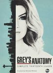 Grey's Anatomy: Complete Thirteenth Season (Sous-titres français)