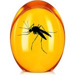 Amber Mosquito Paper Weight Collectible with Dino DNA