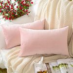 MERNETTE Pack of 2, Velvet Soft Decorative Rectangle Throw Pillow Cover Cushion Covers Pillow case, Home Decor Decorations for Sofa Couch Bed Chair 12x20 Inch/30x50 cm (Light Pink)