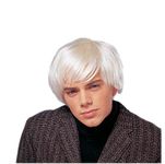 Costume Culture Men's Artist Wig, Platinum, One Size