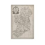 1795 Irish Surname Map Print - Vint