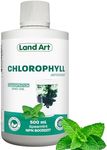 Liquid Chlorophyll Mint – Cold Extr