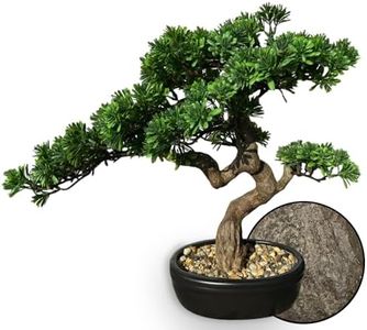 Permaplant
