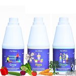 City Greens Advance Hydroponic Nutrient - Grow, Flora, & Thrive - Concentrated Liquid fertilizer for Complete Plant Nutrition. Total 3 Litres - 3000ml (1000ml Bottle Each Grow, Flora, & Thrive).