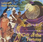 Gift Of The Tortoise: A Musical Journey Through Southern Africa