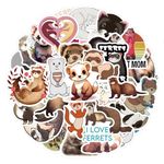 Snow Leopard Stickers for Laptop (100 PCS),Gift for Children Teens Adults Girl Boys,Waterproof Stickers for Water Bottle,Snow Leopard Vinyl Stickers for Scrapbook,Skateboard,Bike,Phone,Dairy