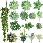 HBlife Artificial Succulent Plants Assorted 15Pcs Textured Faux Succulent Picks Unpotted Fake Succulent Plants Faux Aloe Cactus String of Pearls Succulent Echeveria Agave Floral Arrangement Accent