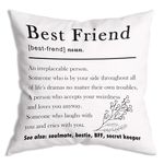 ZNGFON Best Friend Definition Gifts for Women Friend Throw Pillow Covers 18x18 inch Birthday Gifts for Best Friend，Friendship Gifts for Women Friends，Thank You Gifts for Women，Gifts for BFF Bestie