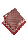 Peter England Maroon Pocket Square,Free Size