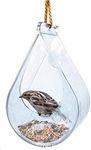 Wildlife World Dewdrop Clear Window