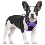 rabbitgoo Dog Harness, No-Pull Pet Harness with 2 Leash Clips, Adjustable Soft Padded Vest, Reflective No-Choke Pet Oxford Vest with Easy Control Handle for Small Dogs, Purple, S