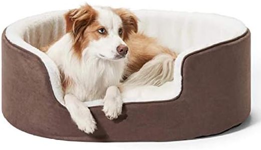 Petslover 