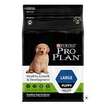 Puppy Food For Large Breeds