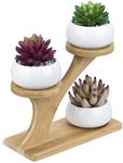 3pcs White Ceramic Succulent Pots with 3 Tier Bamboo Saucers Stand Holder - Modern Decorative Flower Planter Plant Pot with Drainage - Home Office Desk Garden Mini Cactus Pot Indoor Decoration