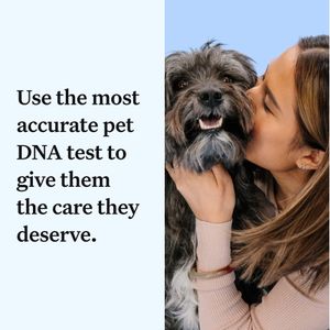 Wisdom Panel Dog DNA Test – Breed & Health Screening Kit