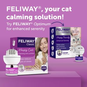 FELIWAY Classic Cat Calming Diffuser – Stress Relief Plug-In