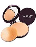 Oil Absorbing Pressed Powder