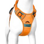 Buraq Pets Premium Dog Harness, Adjustable Dog Vest Harness, Heavy Duty Dog Belt, Perfect for Training, Walking, Running, Hiking, Comfortable & Secure Fit (L, Orange)