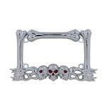 Pilot Automotive WL254-C 'Skull/Flames' Motorcycle License Plate Frame