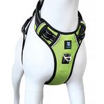 HANK No Escape Dog Harness - 3M Night Reflective - Adjustable Pet Belt - Chest (Min 22- Max 27" inches) (Medium, Neon Green)