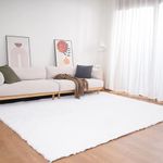 Hometail Anti Skid Faux Fuzzy Fur Carpet Area Rug Washable Thick Microfiber High Density Fleece Fur Non-Shedding Living Room Rug Carpet Floor Mat Runner (White, 5x7 Feet)