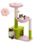 Hoops & Loops Cat Trees