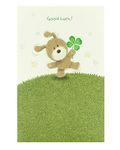 UK Greetings Good Luck Card for Him/Her/Friend - Cute Green Design