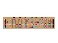 Color Coded Ukulele Guitar Fretboard Note Chart Learn to Play Guitar and Music Theory, Suitable for all Levels, Made in USA