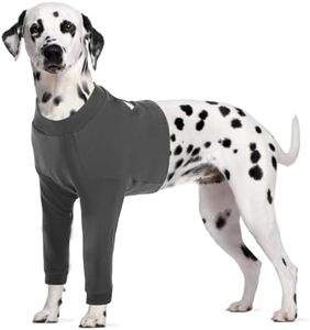 CITÉTOILE Dog Bodysuit After Op, Wound Protection Suits for Dogs with Leg, Front Leg Protection for Injury Dog, Anti-Wound Licking Surgical Body Dogs, E-Collar Alternative, Grey, XXL