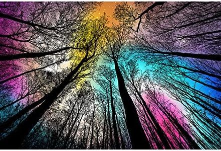 Bgraamiens Puzzle-Forest Under Starry Night-1000 Pieces Creative Color and Lines Jigsaw Puzzle Color Challenge Puzzle