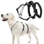 PUPTECK Escape Proof Dog Harness - No Pull Soft Padded Full Body Pet Halter Harness with Lift Handle for Small Medium Large Doggies Walking Hiking Hunting, SnowWhite & Black, L
