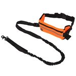 Running Dog Leashes Hands Free