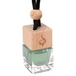 Amelgo New Car Air Freshener with Essential Oils - Wardrobe Aromatherapy Room Diffuser - Long Lasting Car Oil Diffuser Fresh Patchouli Scent for Car - New Car Fragrance - White Patchouli