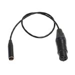 HangTon BMPCC 4K Audio Cable Mini XLR TA3 to XLR 3 Pin Microphone for Blackmagic Design Video Assist 4K Pocket Cinema Camera 6K Pro Canon C70 20"