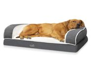 pecute Orthopedic Sofa Bed (XL 101 * 66 * 20 cm), Egg Crate Memory Foam Pet Couch Beds with 3 Sides Bolster for Good Support, Removable Washable Cover, Non Slip Base, Ideal for Medium Large Dogs