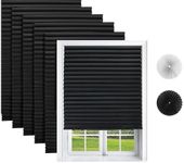 Changshade 6-Pack Blackout Pleated 