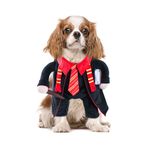 NACOCO Dog Halloween Wizard Costume - Funny Pet Halloween Clothes Cute Dog Cosplay Outfit for Small Medium Dogs (M)